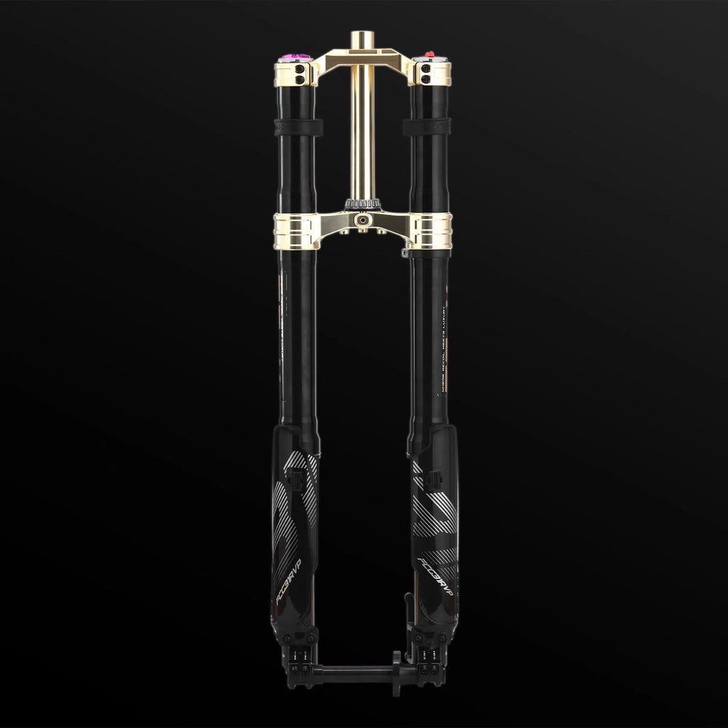 RFloXa Hawk31 Max (Gold)