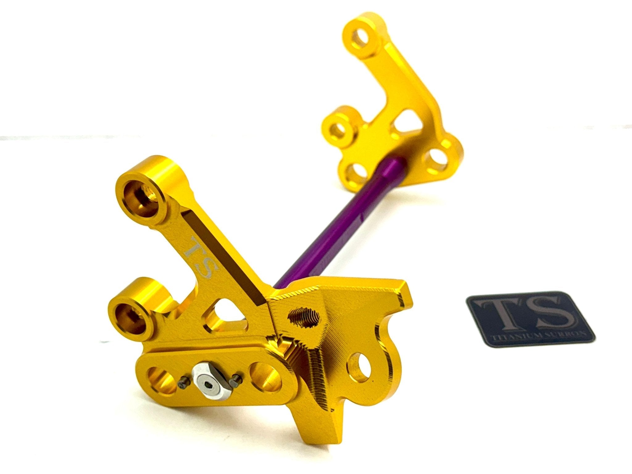 Custom CNC Aluminum Footpeg Bracket Assembly E-Ride Pro